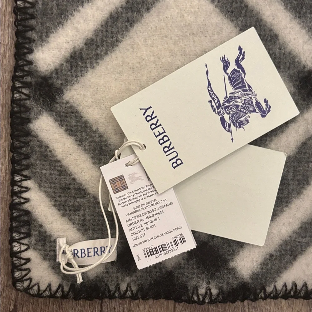 Burberry Check Wool Scarf NWT